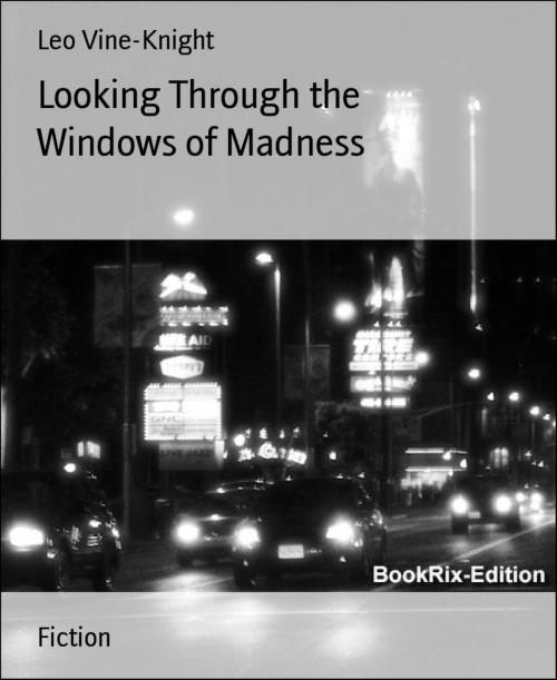 Cover of the book Looking Through the Windows of Madness by Leo Vine-Knight, BookRix