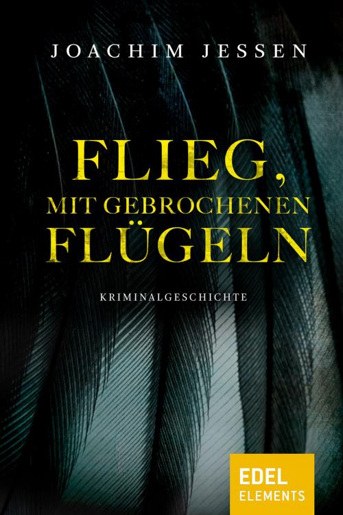 Cover of the book Flieg, mit gebrochenen Flügeln by Joachim Jessen, Edel Elements