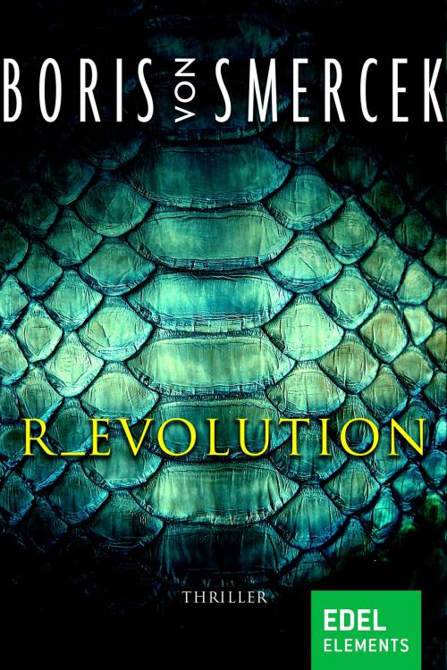Cover of the book R_EVOLUTION by Boris von Smercek, Edel Elements