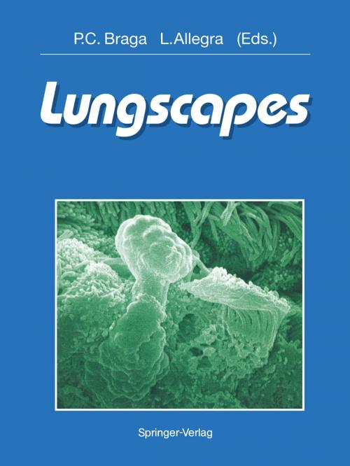 Cover of the book Lungscapes by , Springer Milan