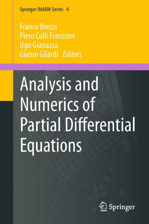 Cover of the book Analysis and Numerics of Partial Differential Equations by , Springer Milan