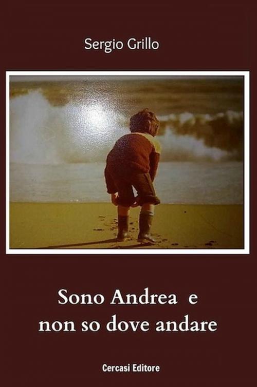 Cover of the book Sono Andrea e non so dove andare by Sergio Grillo, Sergio Grillo