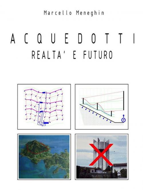 Cover of the book Acquedotti realtà e futuro by Marcello Meneghin, Mnamon