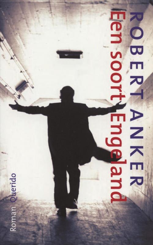 Cover of the book Een soort Engeland by Robert Anker, Singel Uitgeverijen