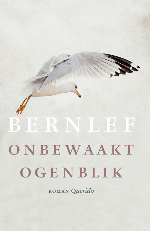 Cover of the book Onbewaakt ogenblik by J. Bernlef, Singel Uitgeverijen