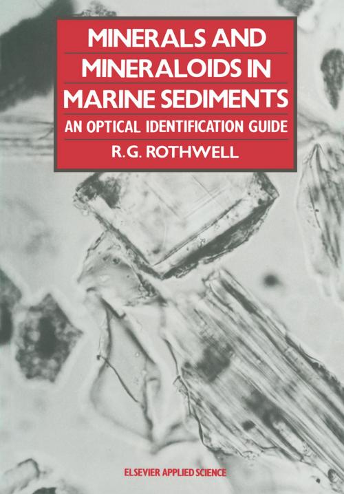 Cover of the book Minerals and Mineraloids in Marine Sediments by , Springer Netherlands