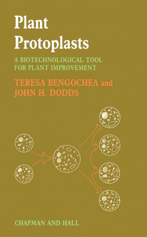 Cover of the book Plant Protoplasts by Tessa Bengochea, Springer Netherlands