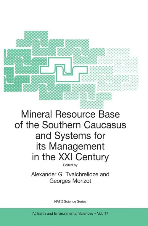 Cover of the book Mineral Resource Base of the Southern Caucasus and Systems for its Management in the XXI Century by , Springer Netherlands