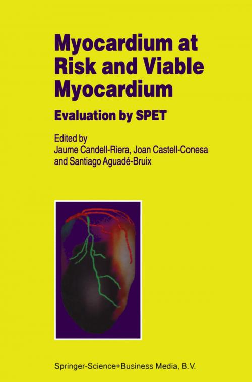 Cover of the book Myocardium at Risk and Viable Myocardium by , Springer Netherlands
