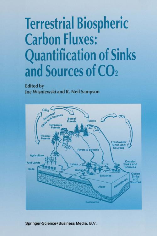 Cover of the book Terrestrial Biospheric Carbon Fluxes Quantification of Sinks and Sources of CO2 by , Springer Netherlands