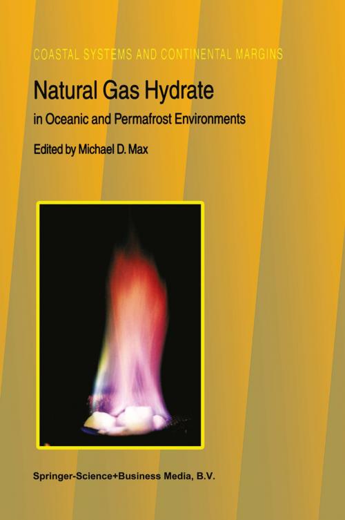 Cover of the book Natural Gas Hydrate by , Springer Netherlands