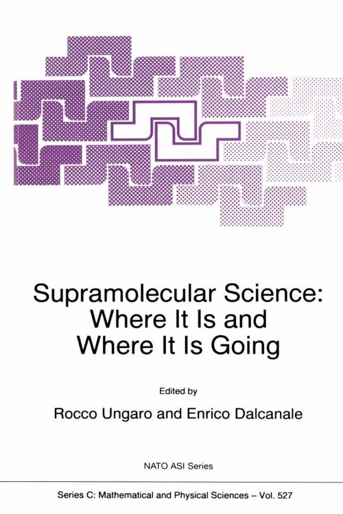 Cover of the book Supramolecular Science by , Springer Netherlands