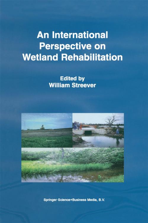 Cover of the book An International Perspective on Wetland Rehabilitation by , Springer Netherlands