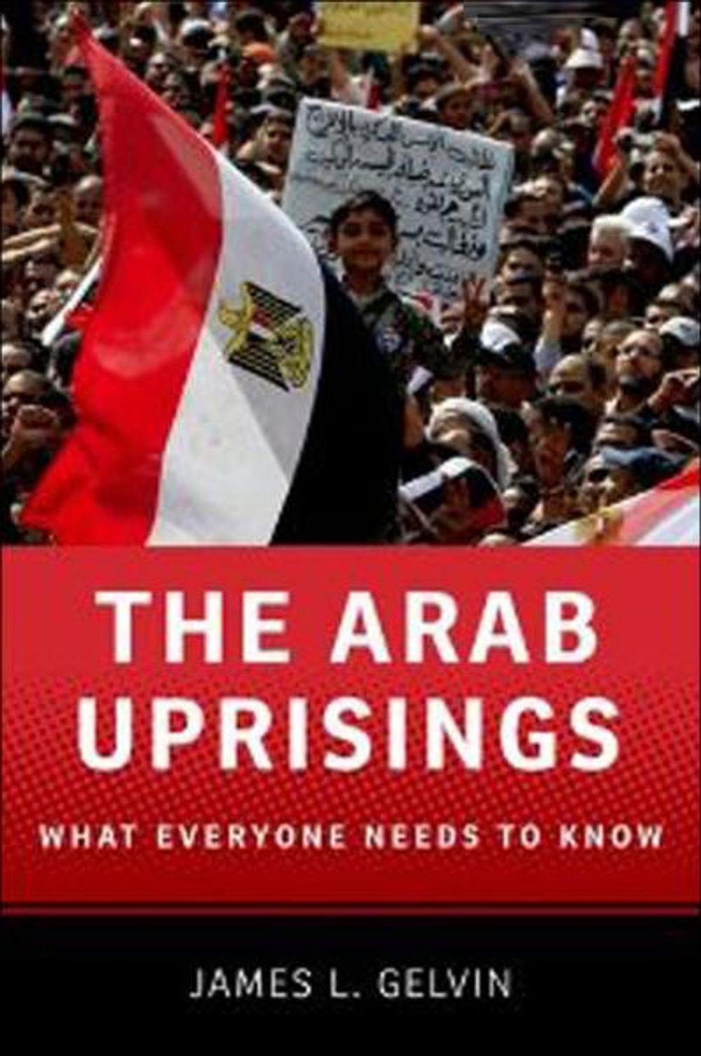 Big bigCover of The Arab Uprisings:What Everyone Needs to Know