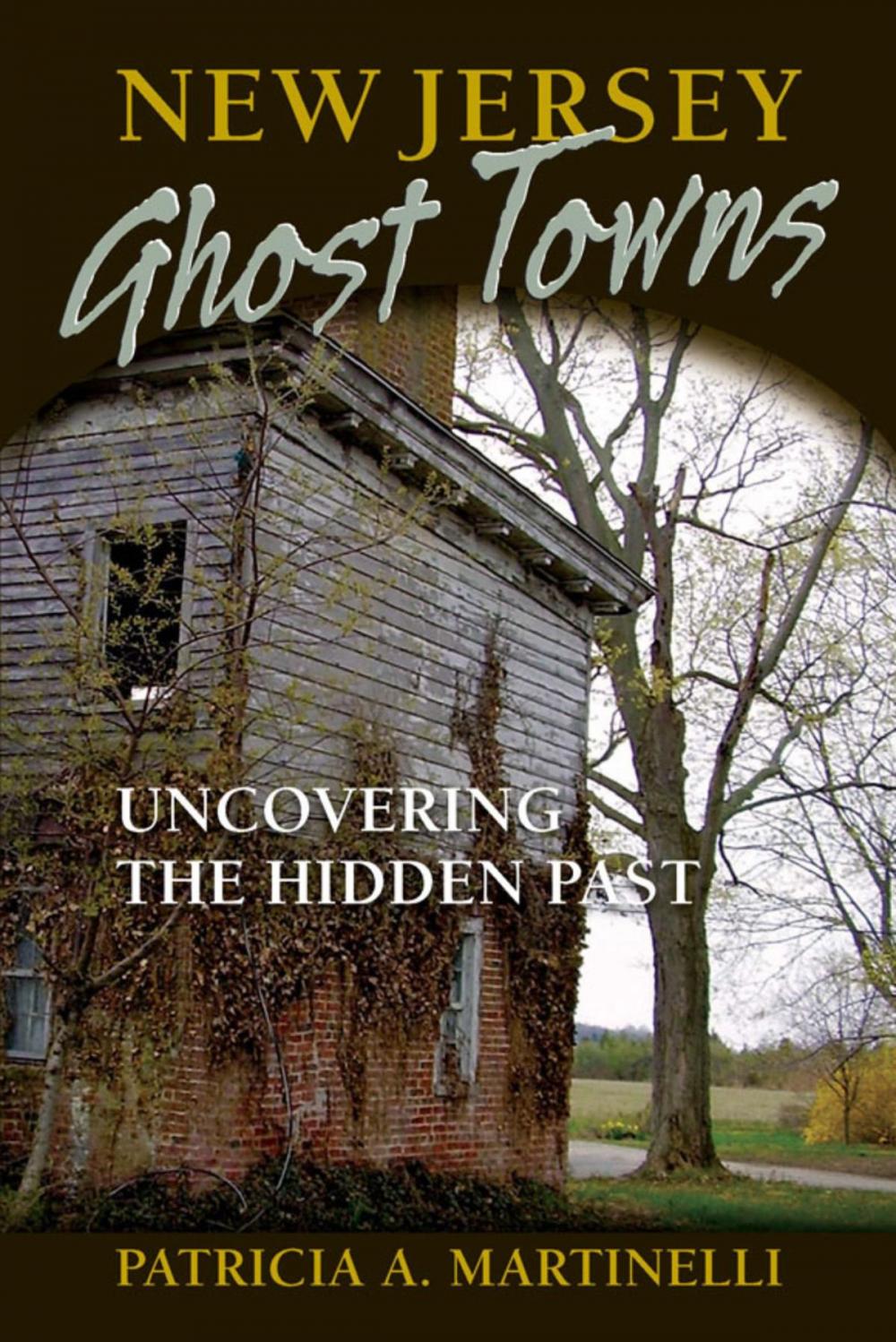 Big bigCover of New Jersey Ghost Towns