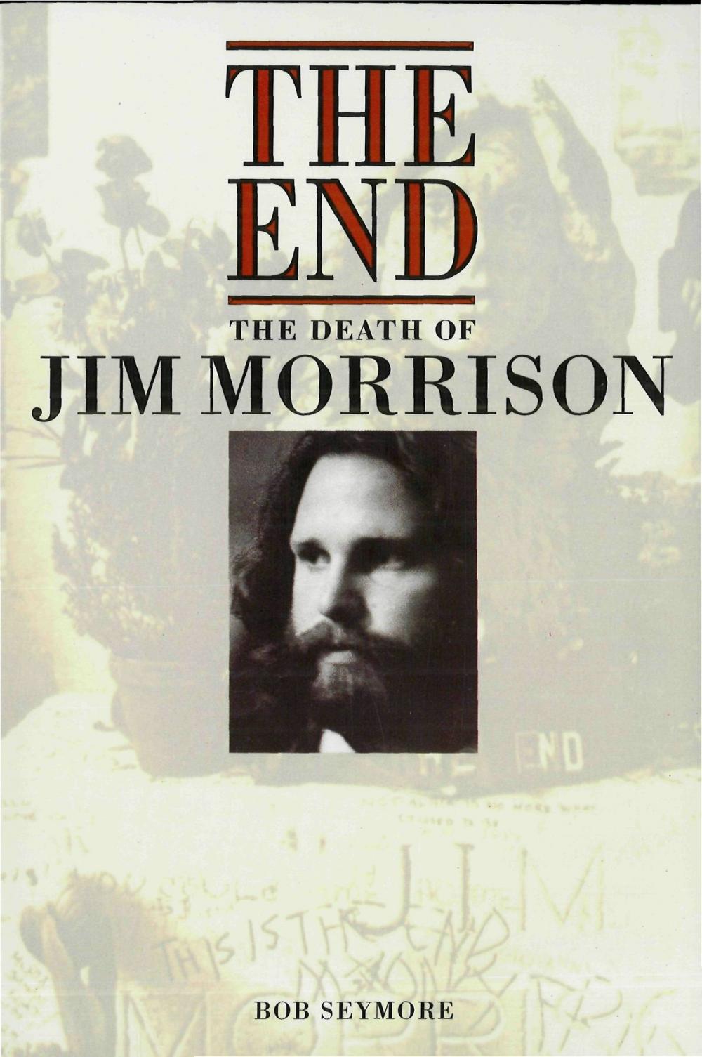 Big bigCover of Jim Morrison: The End (Popular Edition) 