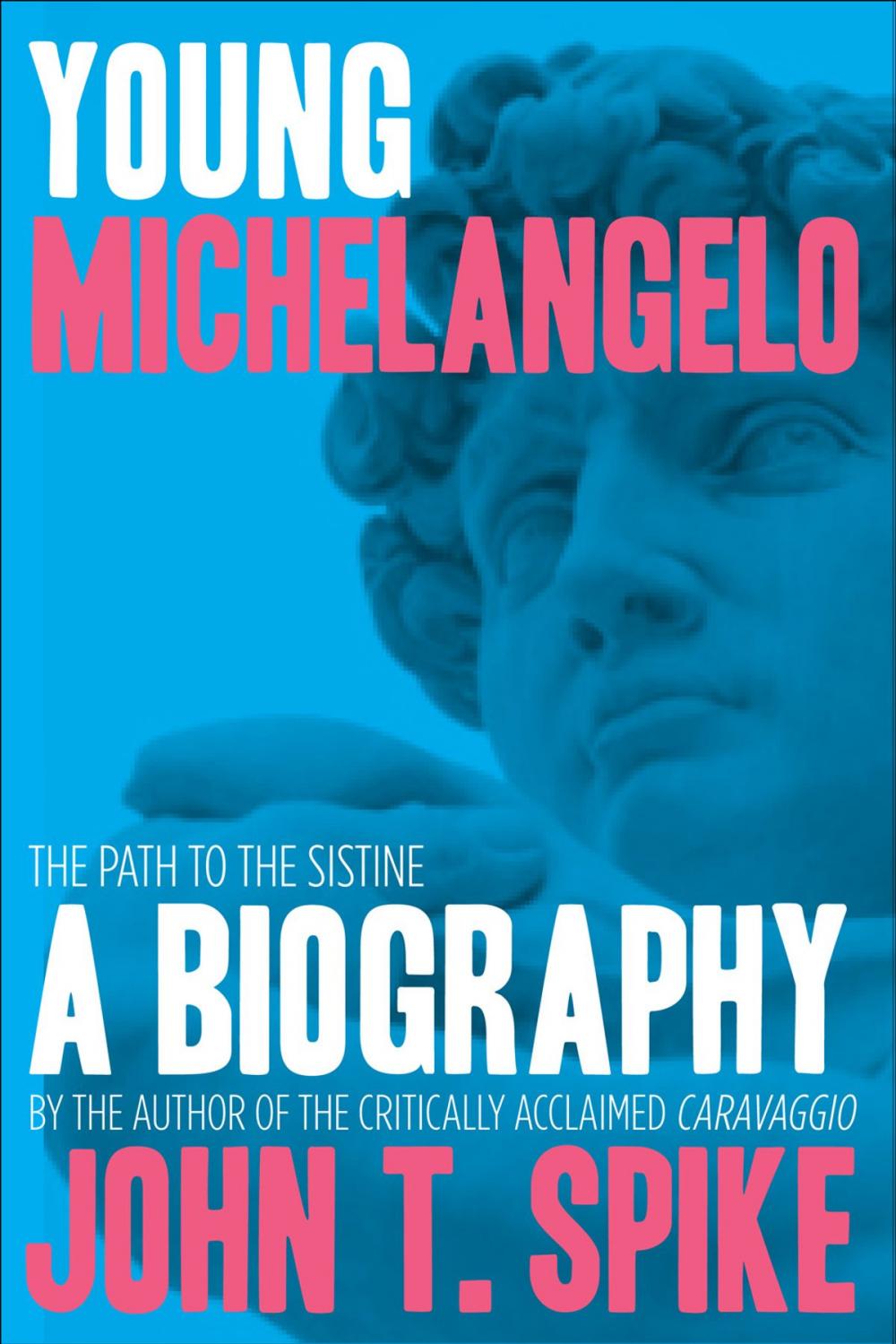 Big bigCover of Young Michelangelo