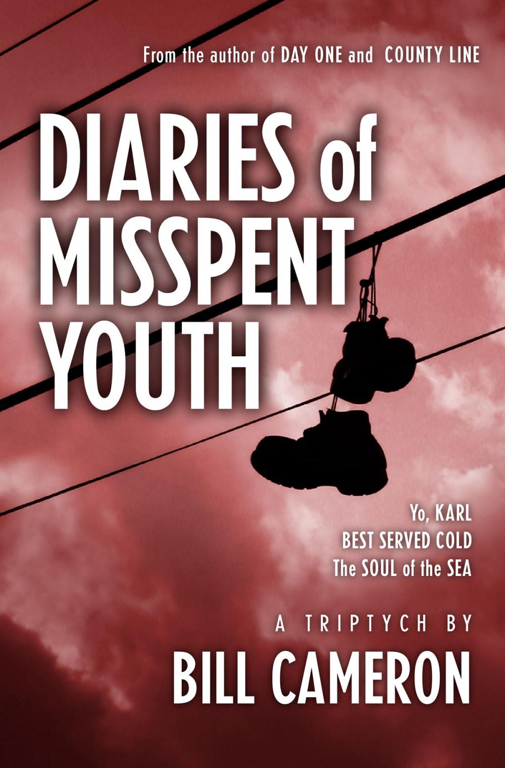 Big bigCover of Diaries of Misspent Youth