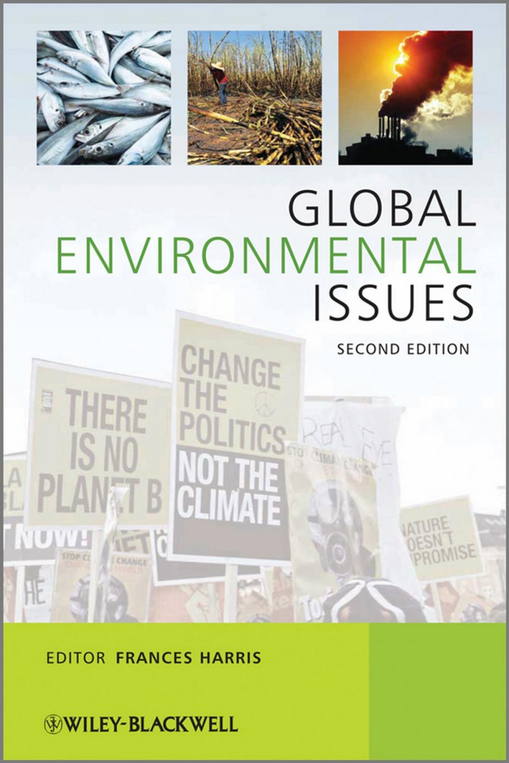 Big bigCover of Global Environmental Issues