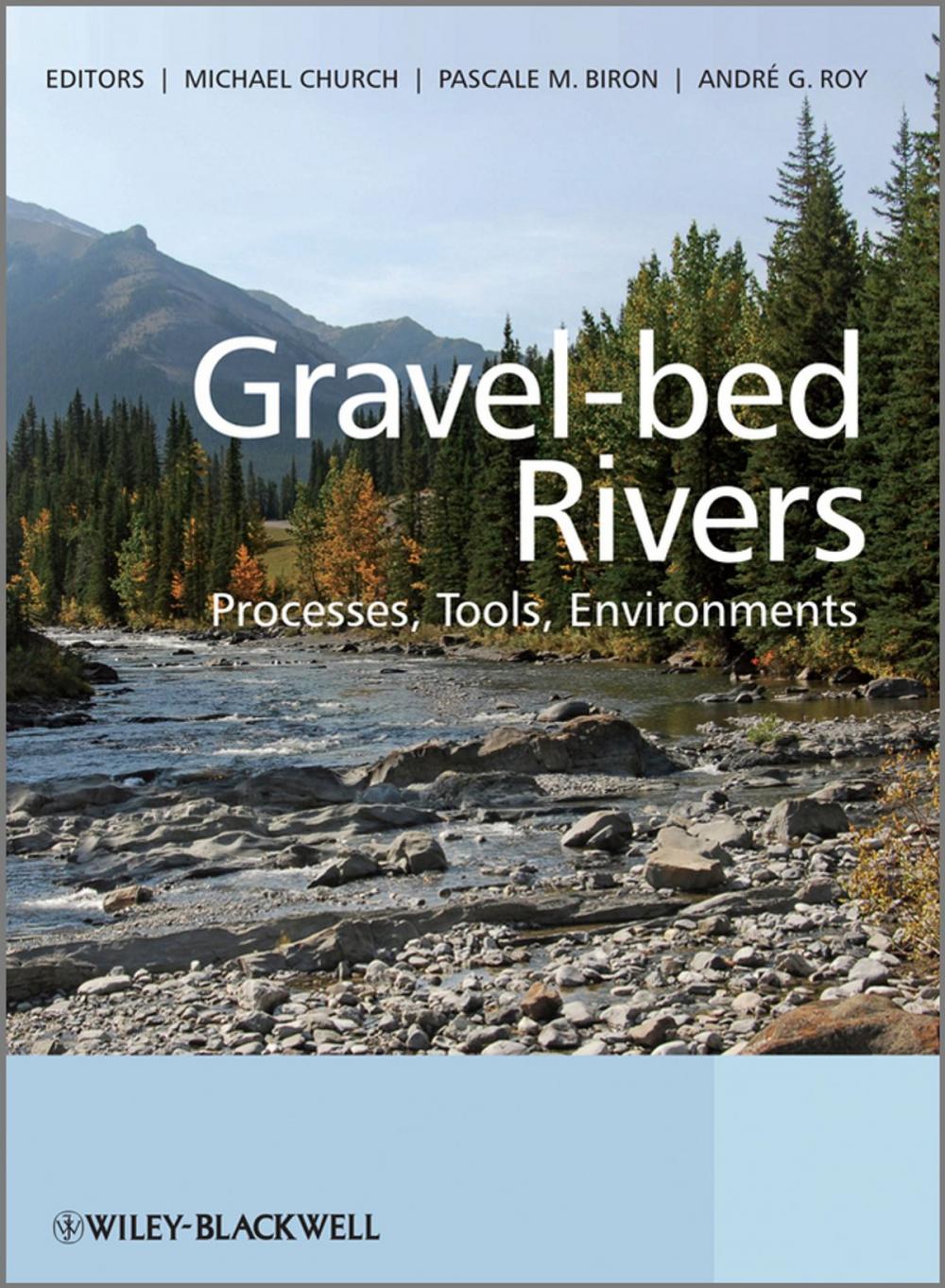 Big bigCover of Gravel Bed Rivers