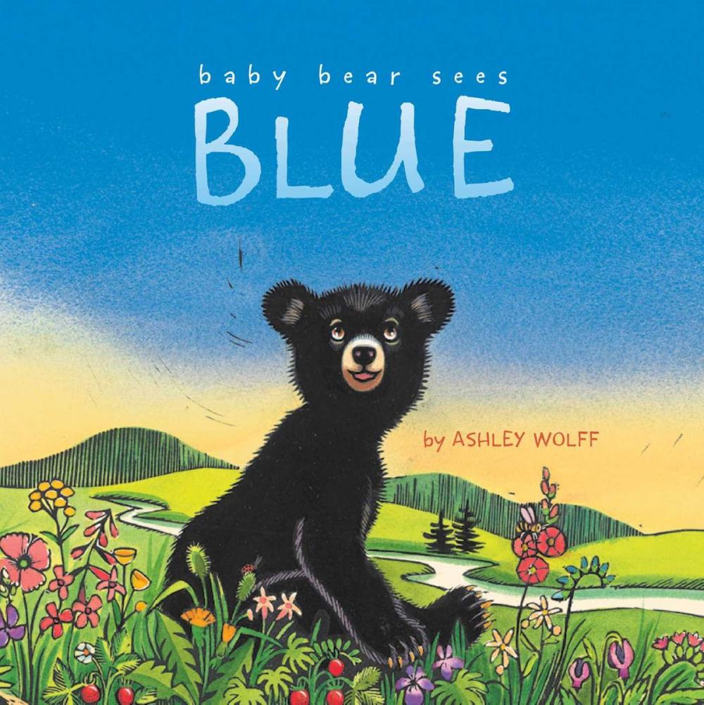 Big bigCover of Baby Bear Sees Blue