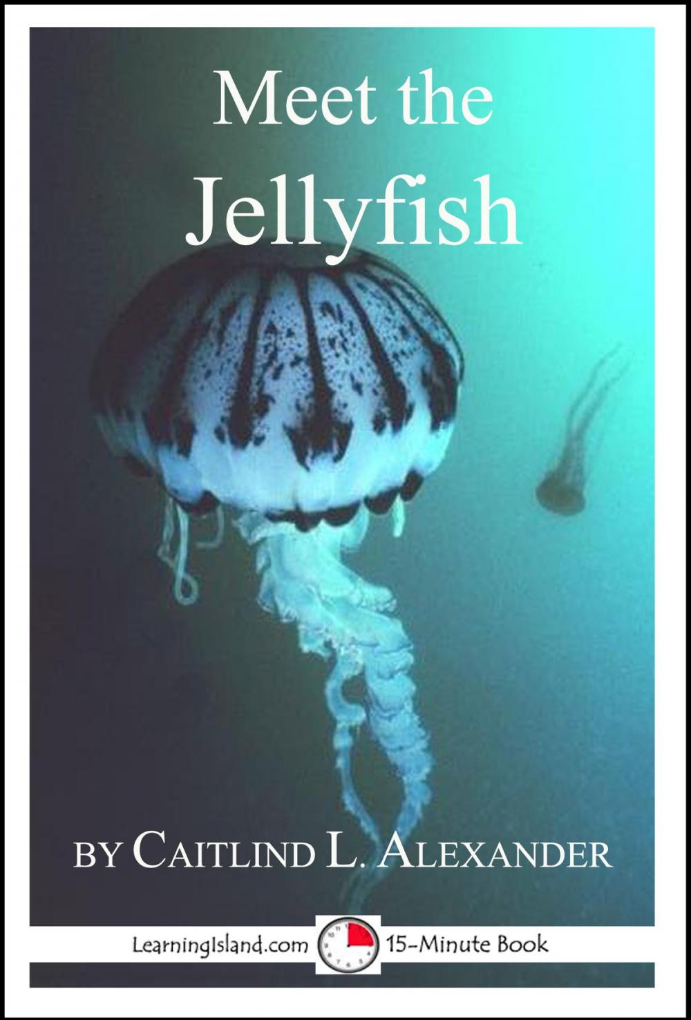 Big bigCover of Meet the Jellyfish: A 15-Minute Book for Early Readers
