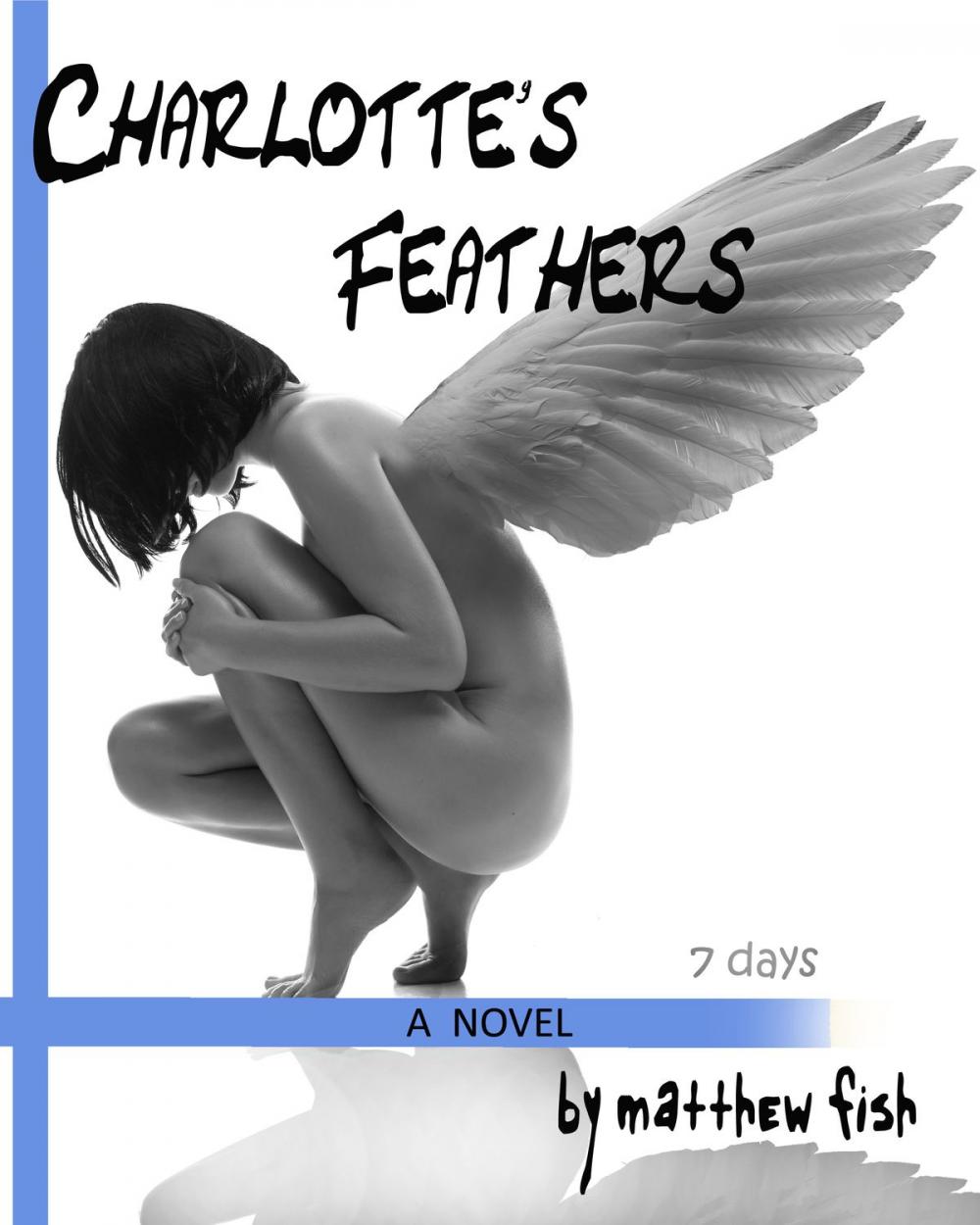 Big bigCover of Charlotte's Feathers