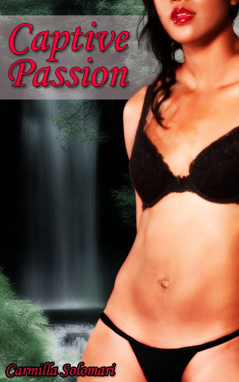 Big bigCover of Captive Passions