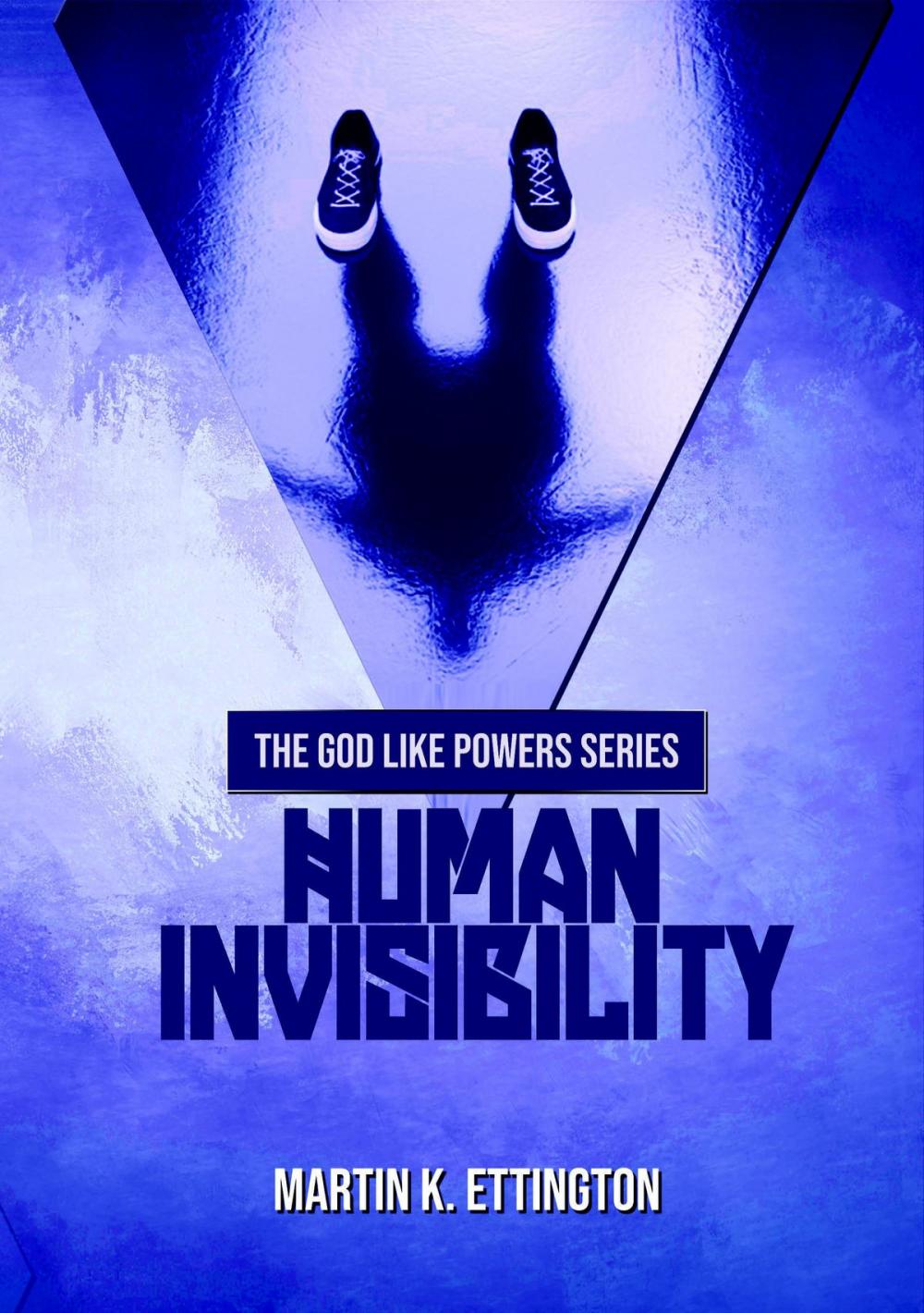Big bigCover of Human Invisibility