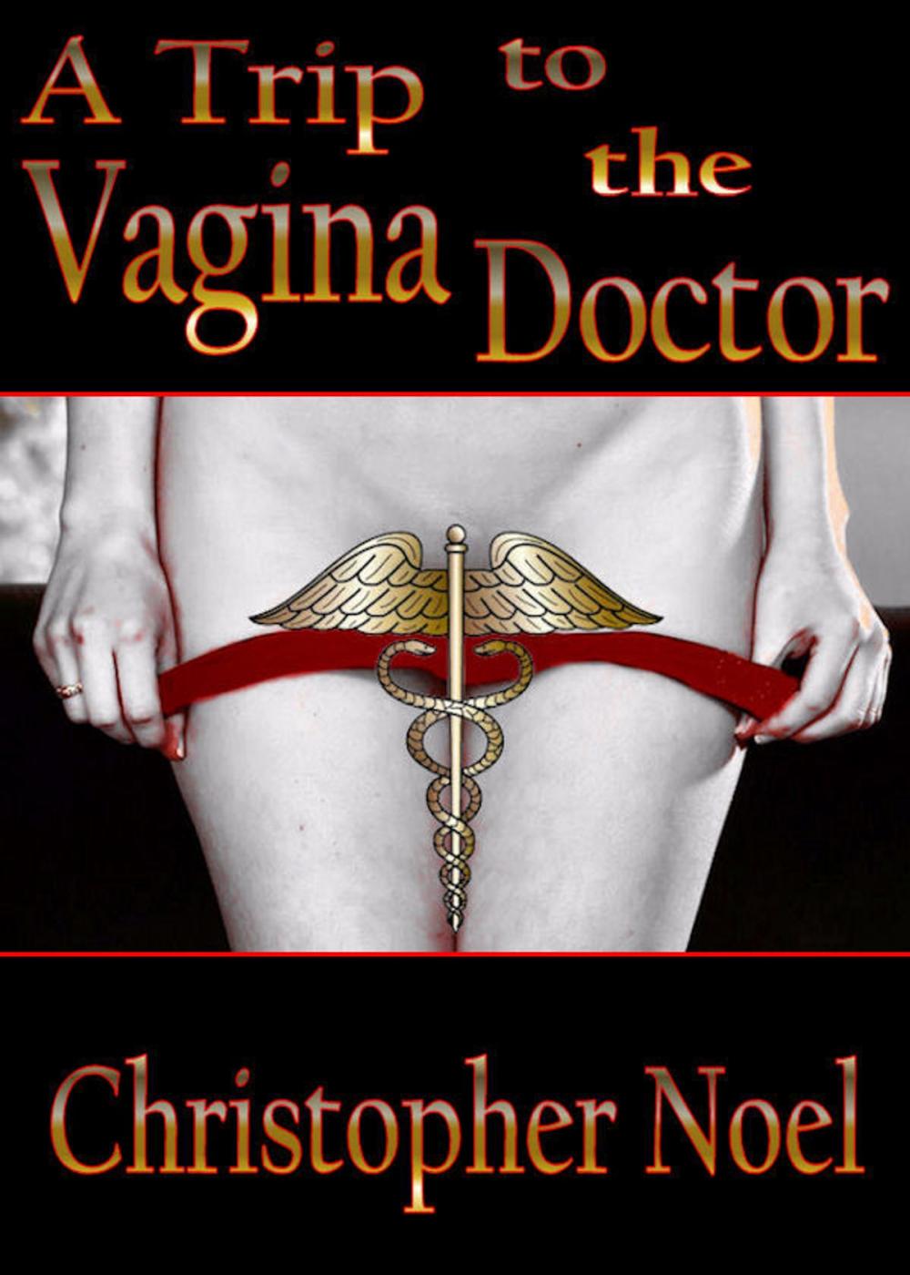 Big bigCover of A Trip to the Vagina Doctor