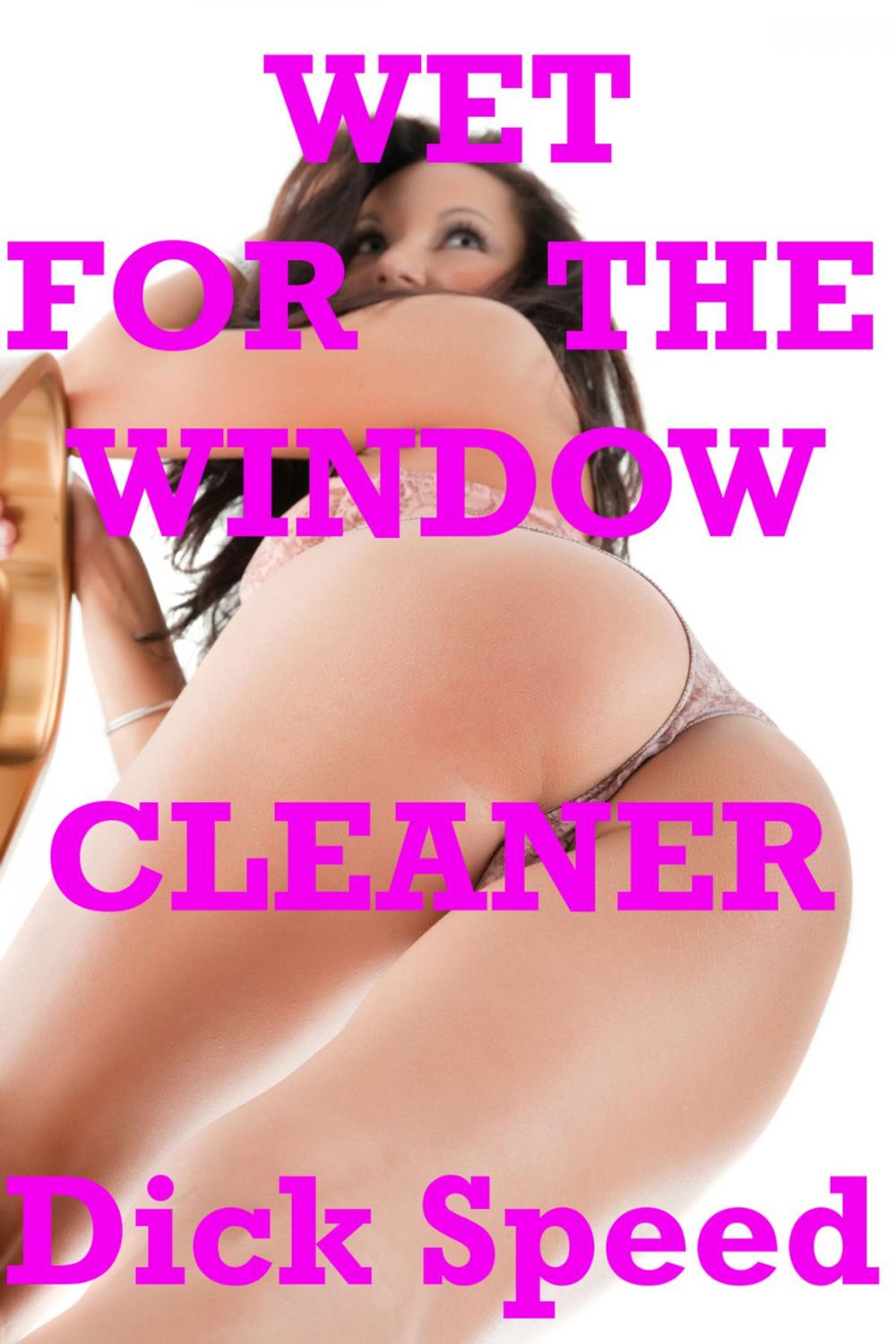 Big bigCover of Wet for the Window Cleaner