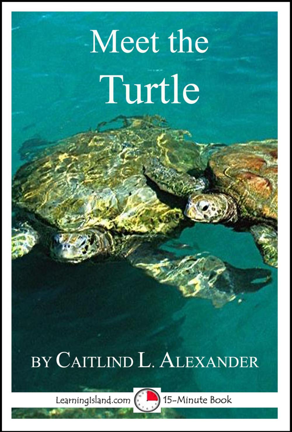 Big bigCover of Meet the Turtle: A 15-Minute Book for Early Readers