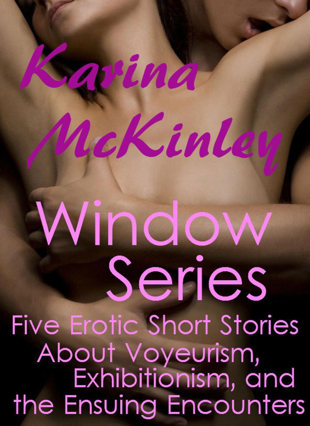 Big bigCover of The Window Series: Five Erotic Short Stories about Voyeurism, Exhibitionism, and the Ensuing Encounters