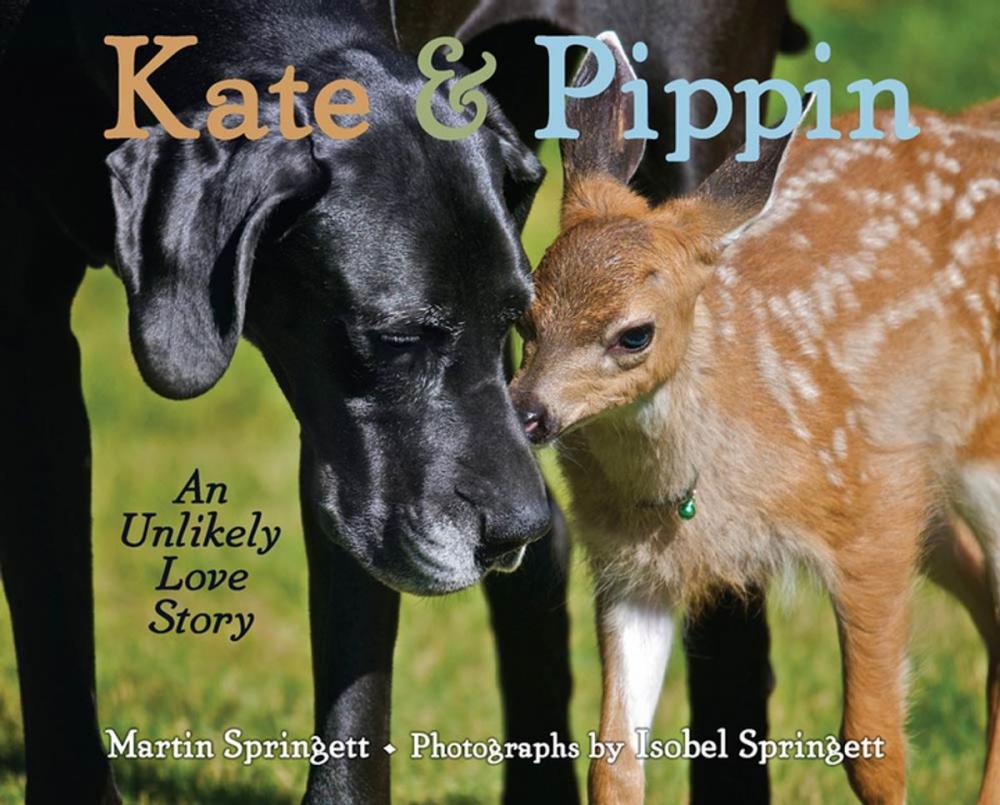 Big bigCover of Kate & Pippin