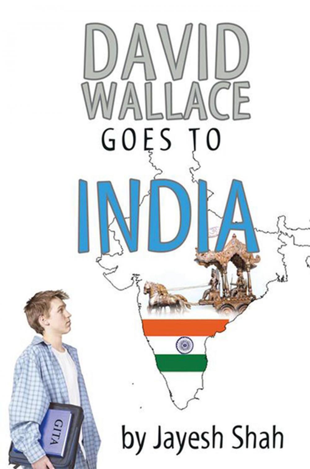Big bigCover of David Wallace Goes to India