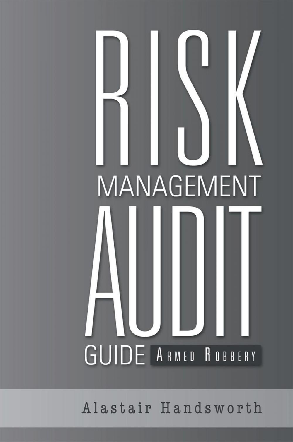 Big bigCover of Risk Management Audit Guide