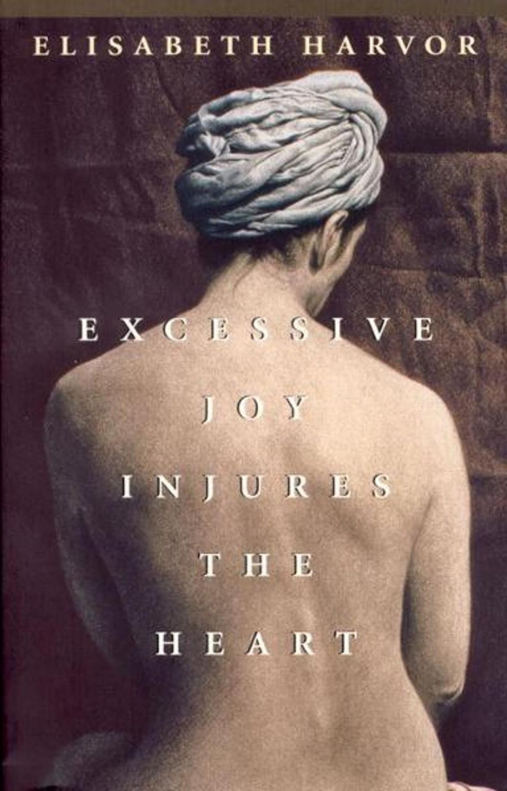 Big bigCover of Excessive Joy Injures The Heart