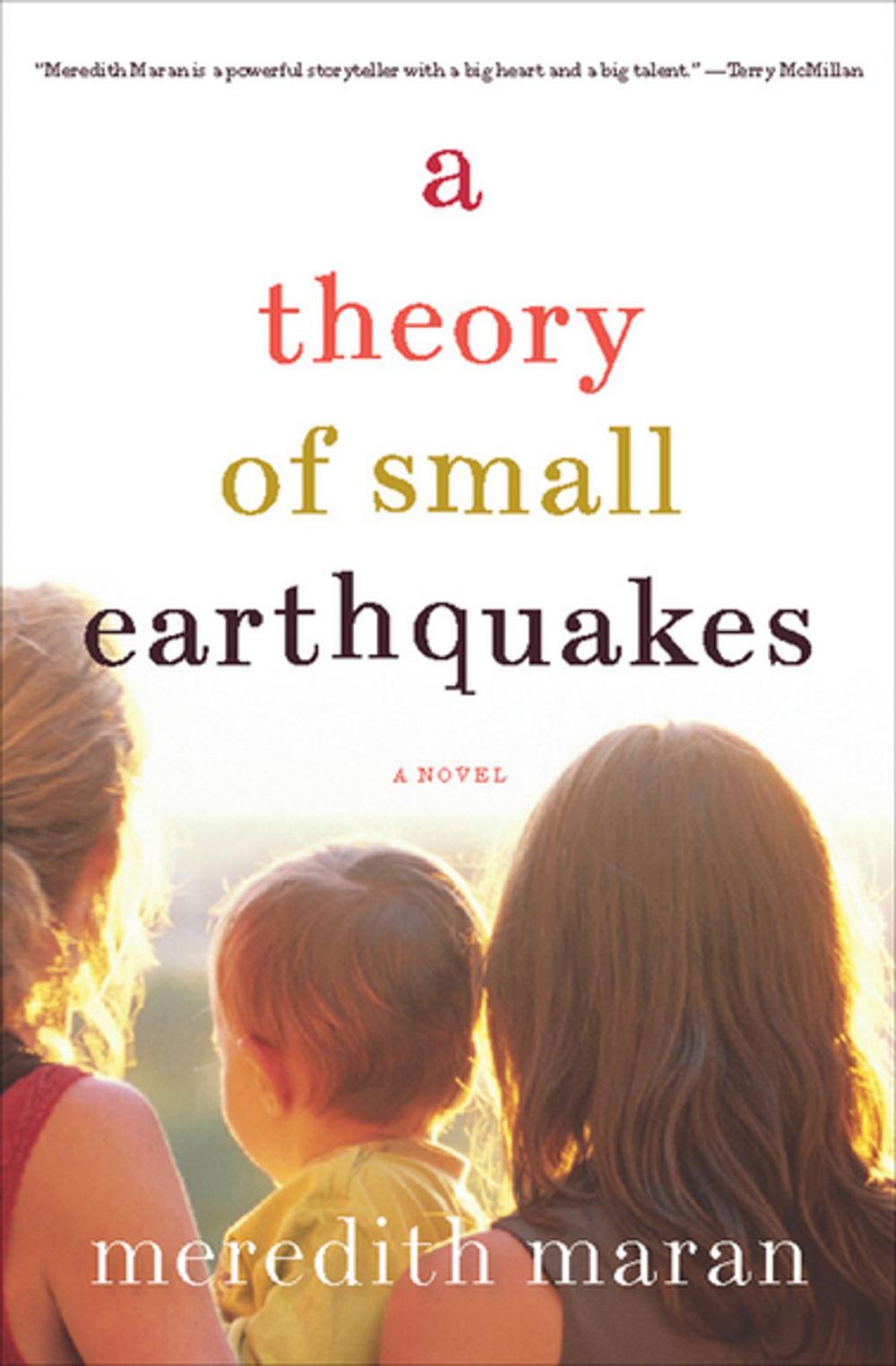 Big bigCover of A Theory of Small Earthquakes