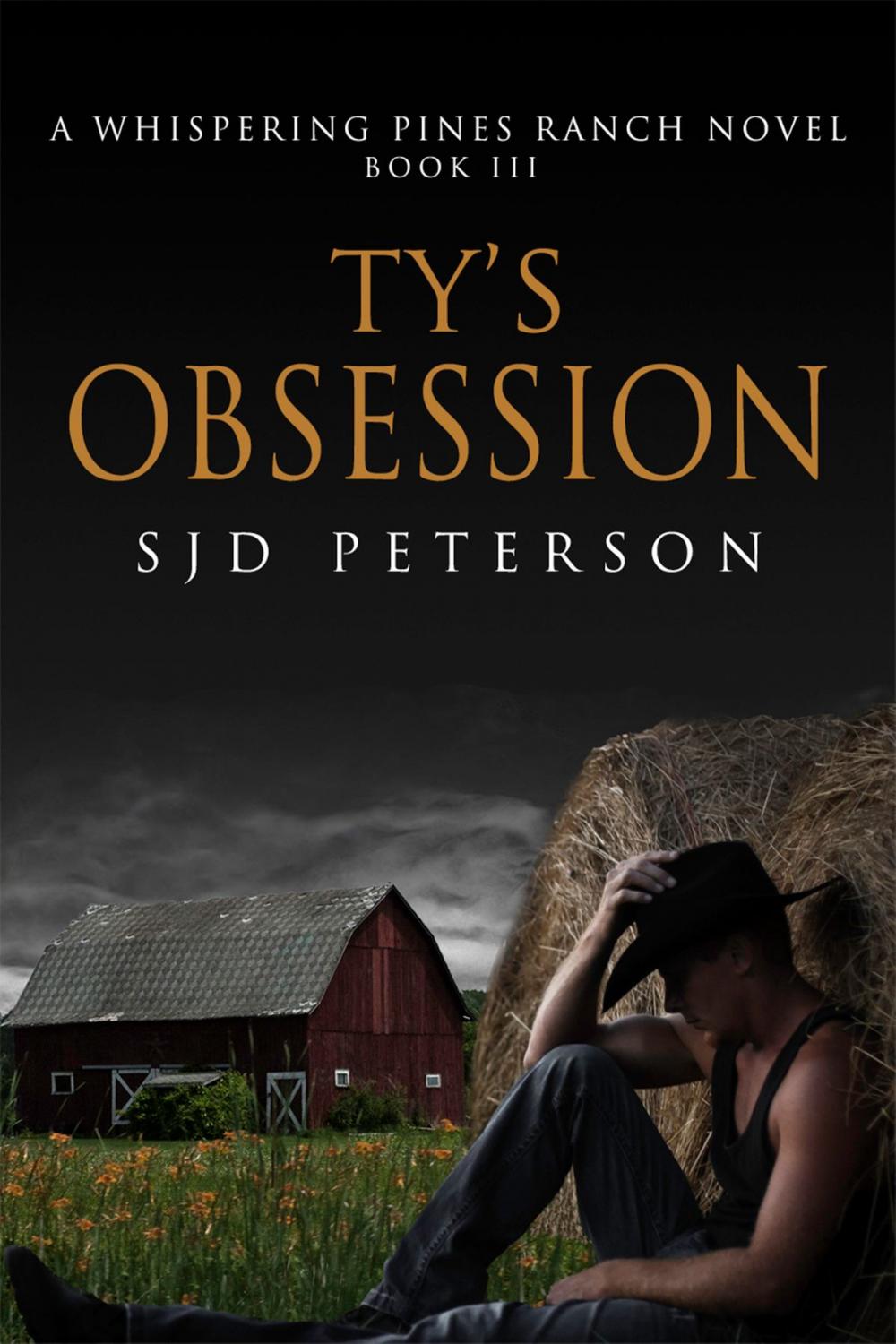 Big bigCover of Ty's Obsession