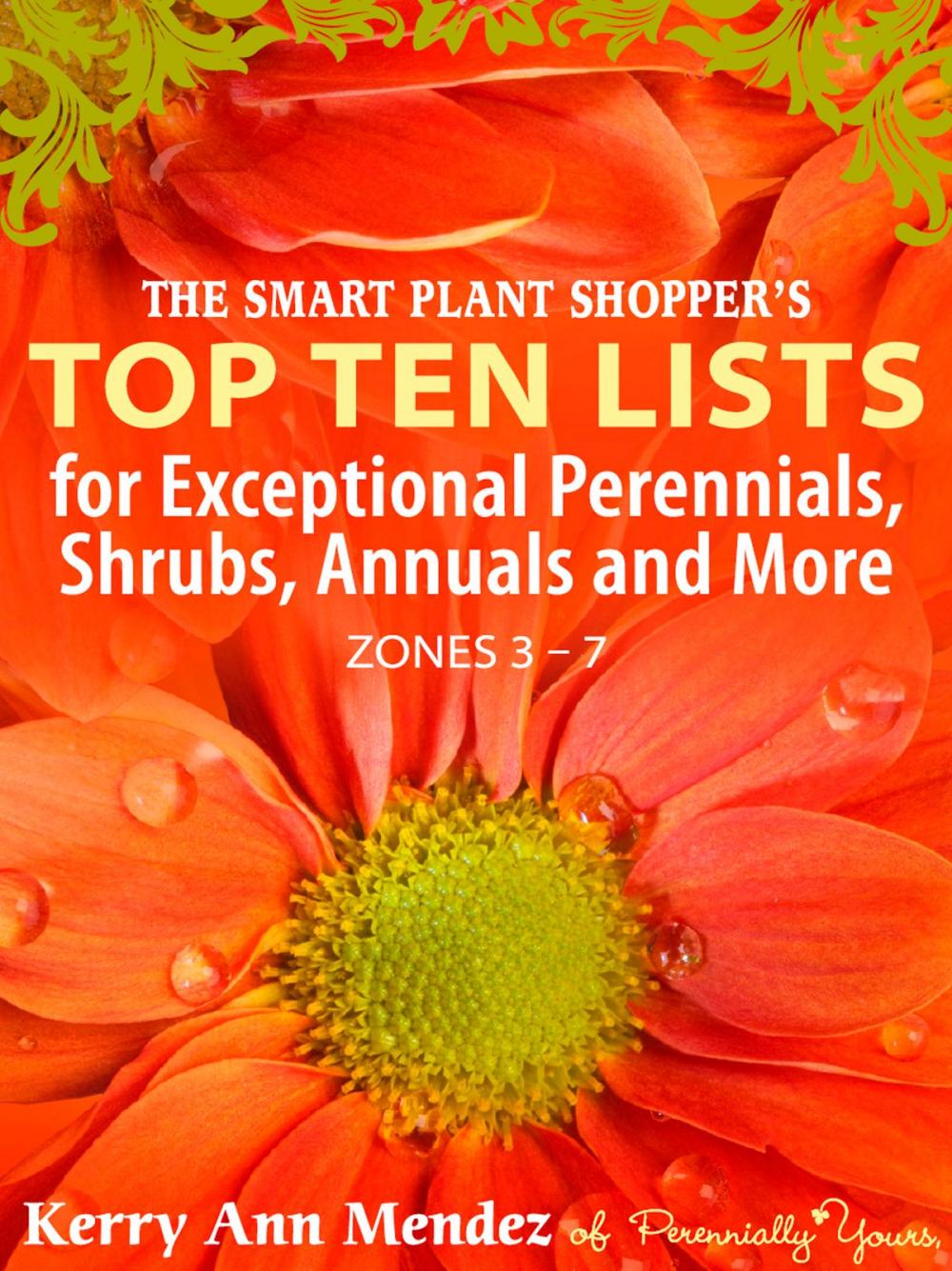 Big bigCover of The Smart Shopper's Top Ten Lists