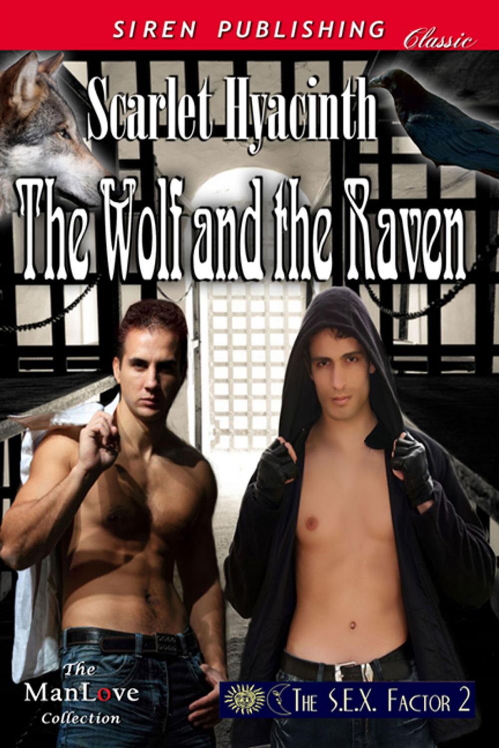 Big bigCover of The Wolf and the Raven