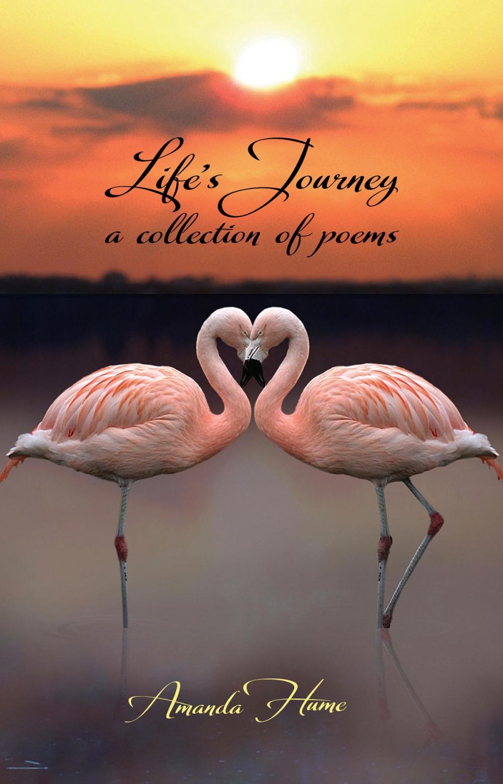 Big bigCover of Life's Journey