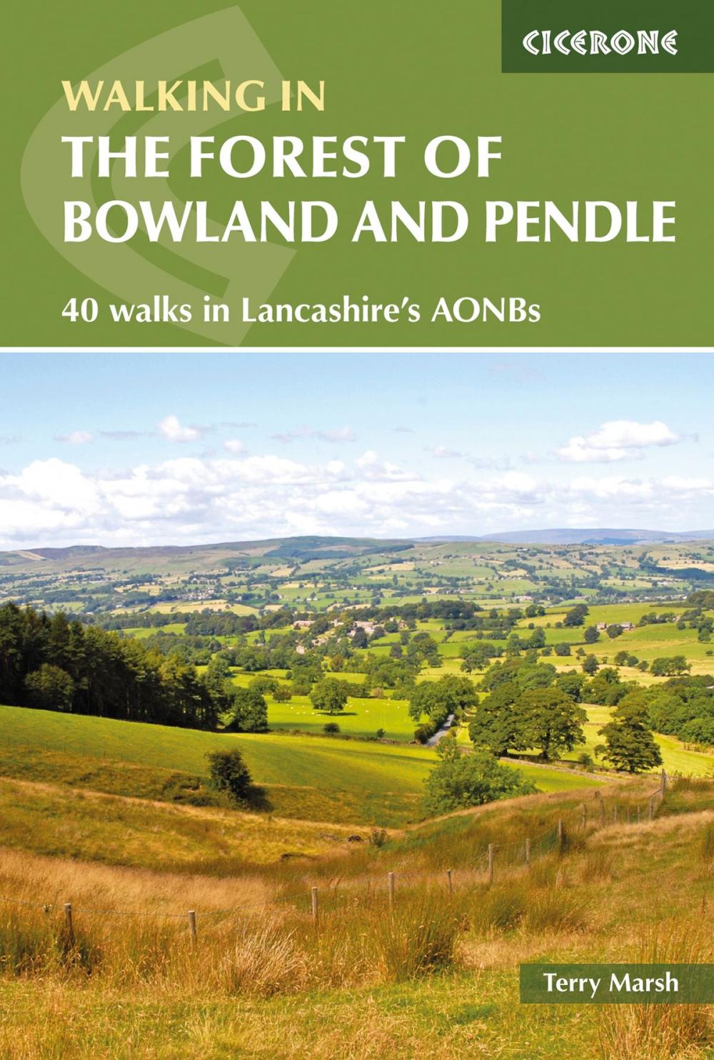 Big bigCover of Walking in the Forest of Bowland and Pendle