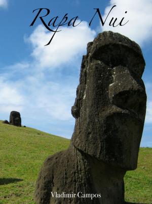 Cover of the book Rapa Nui by Jason Klassi