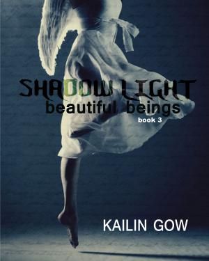 Cover of the book Shadow Light (Beautiful Beings #3) by S.L. Man, Kailin Gow