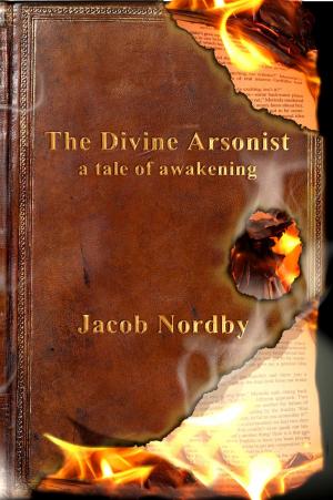 bigCover of the book The Divine Arsonist by 