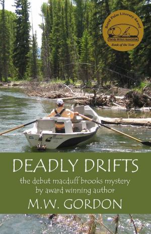 Book cover of Deadly Drifts