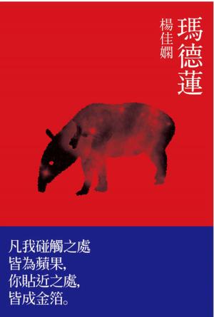 Cover of the book 瑪德蓮 by David McRobbie