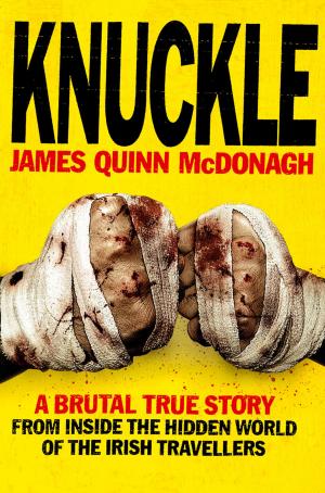 bigCover of the book Knuckle by 
