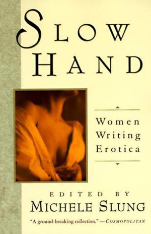 Cover of the book Slow Hand by S. J. Watson
